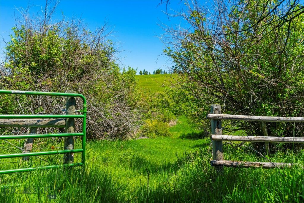 1856 Star Ridge Road, Bozeman MT 59715