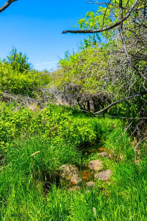 1856 Star Ridge Road, Bozeman MT 59715