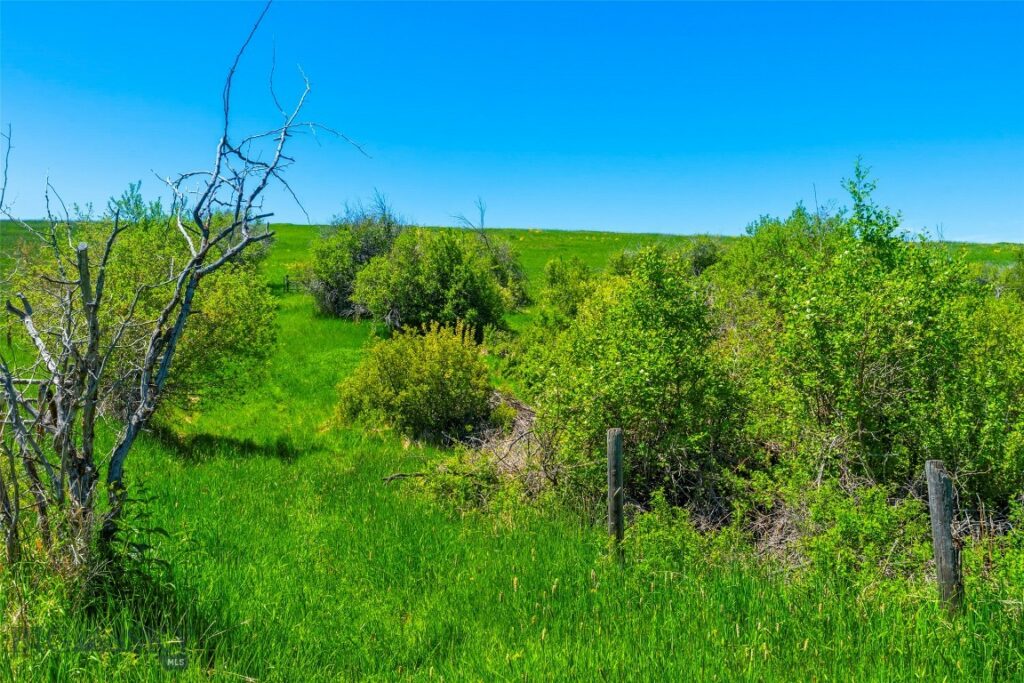 1856 Star Ridge Road, Bozeman MT 59715