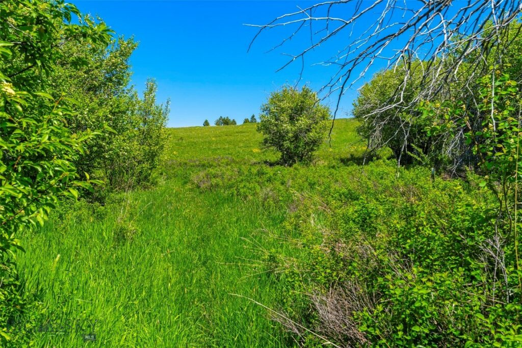 1856 Star Ridge Road, Bozeman MT 59715