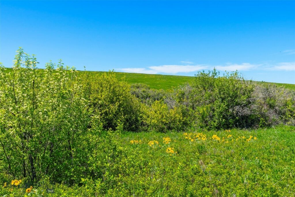 1856 Star Ridge Road, Bozeman MT 59715