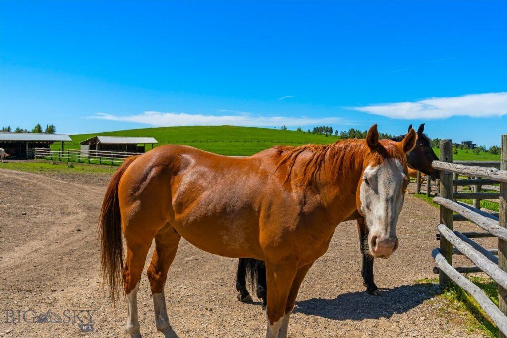 1856 Star Ridge Road, Bozeman MT 59715