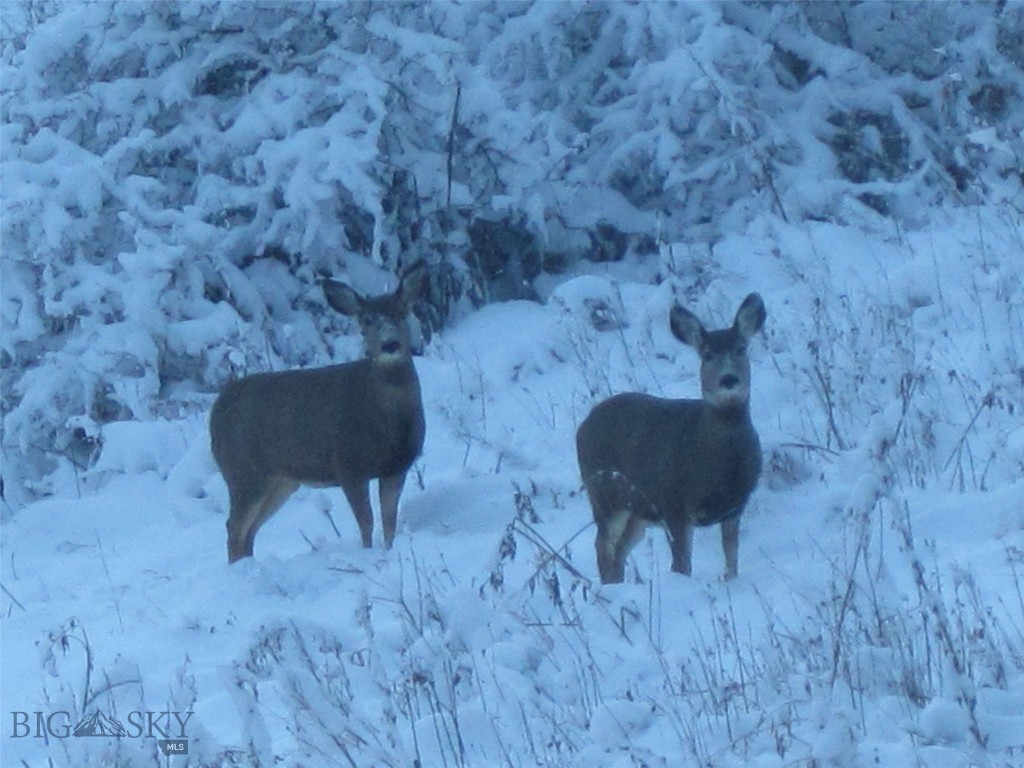 189 Quinn Creek Road, Bozeman MT 59715