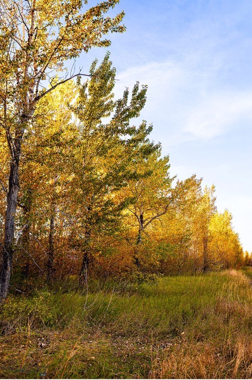20 Prairie Grass, Bozeman MT 59718