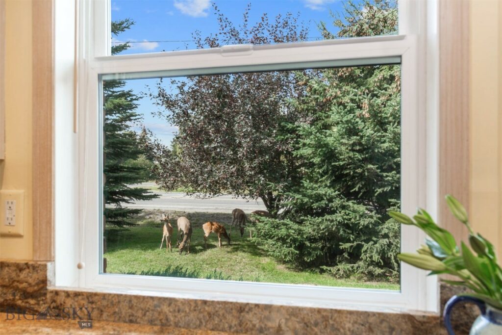 210 W Graf Street, Bozeman MT 59715