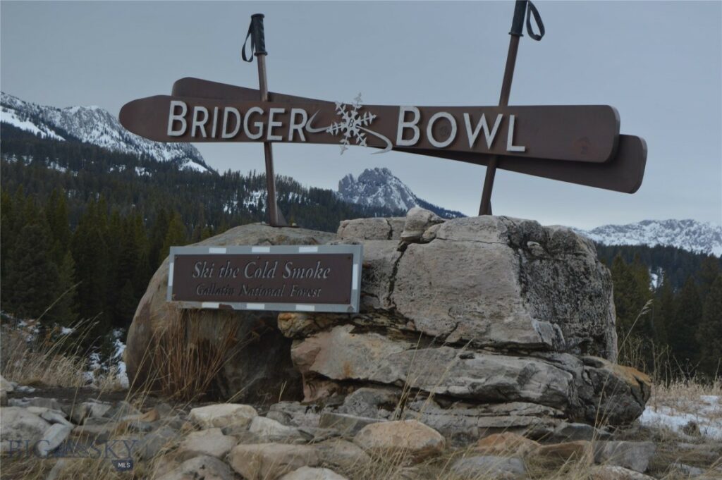 215 Wedeln Drive, Bozeman MT 59715