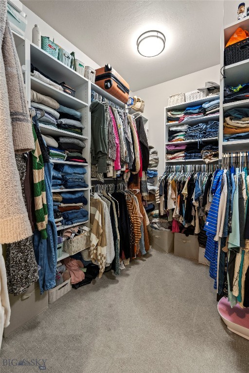 22 Battle Peak Court, Bozeman MT 59718