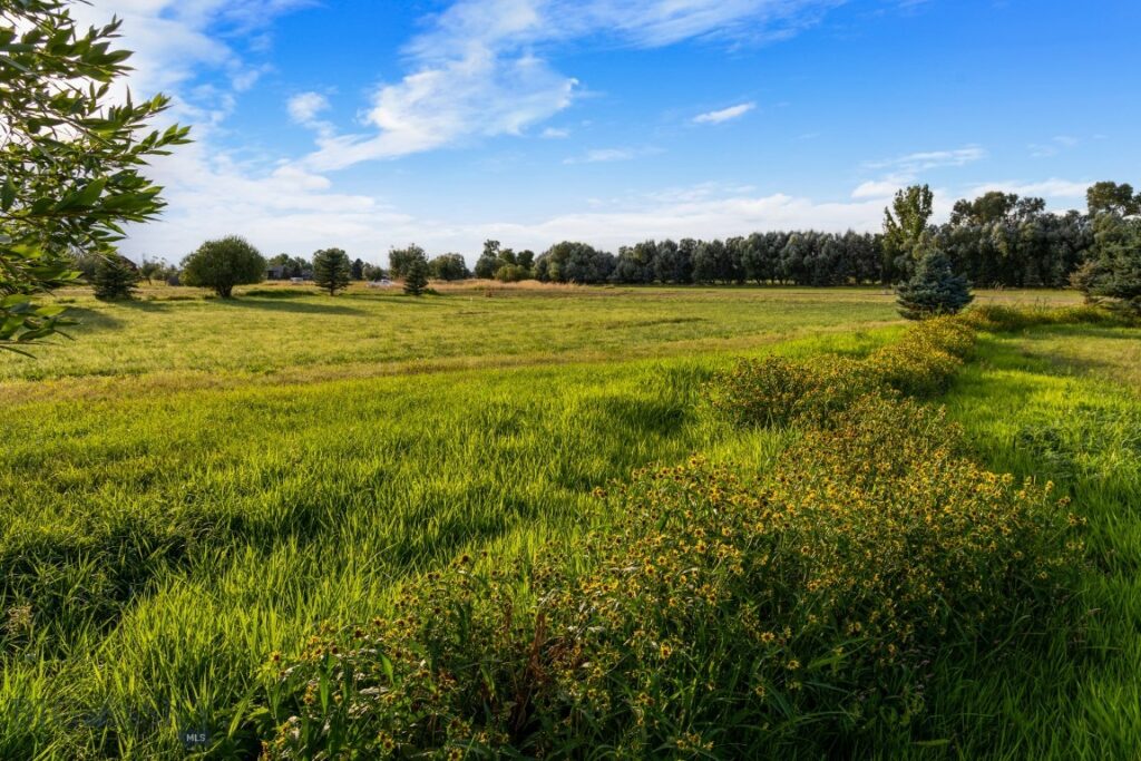 223 Poppy Field Drive, Bozeman MT 59718