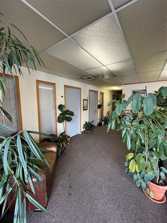 24 S Willson Avenue, Bozeman MT 59715