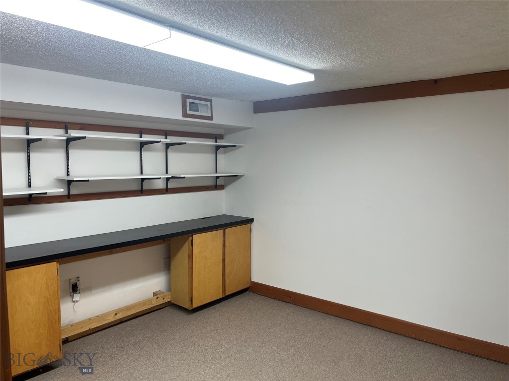 24 S Willson Avenue, Bozeman MT 59715