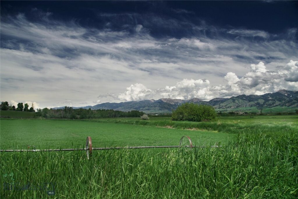 2538 Andalusian Avenue, Bozeman MT 59718