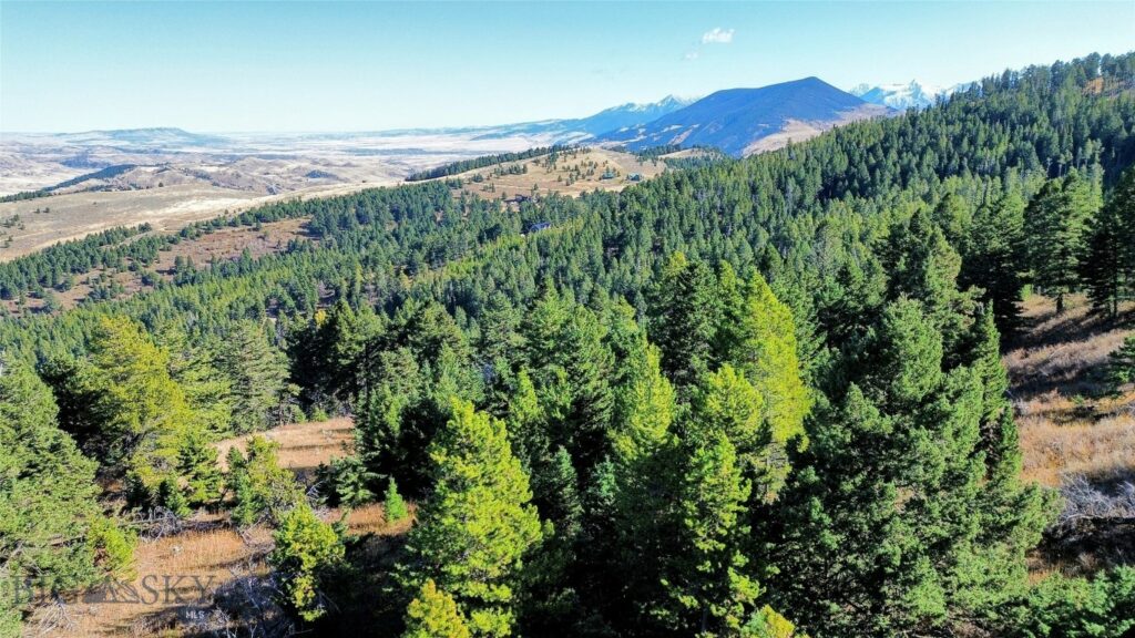 256 High Ridge, Bozeman MT 59715