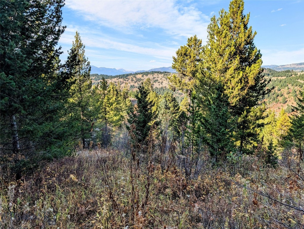 256 High Ridge, Bozeman MT 59715