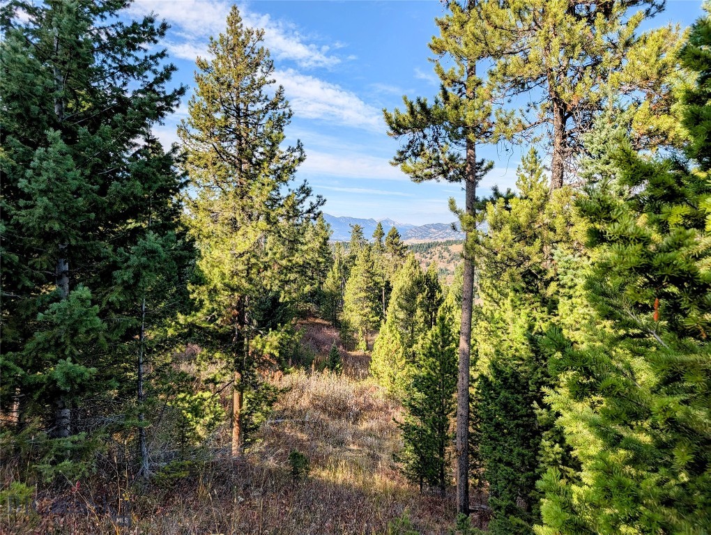 256 High Ridge, Bozeman MT 59715