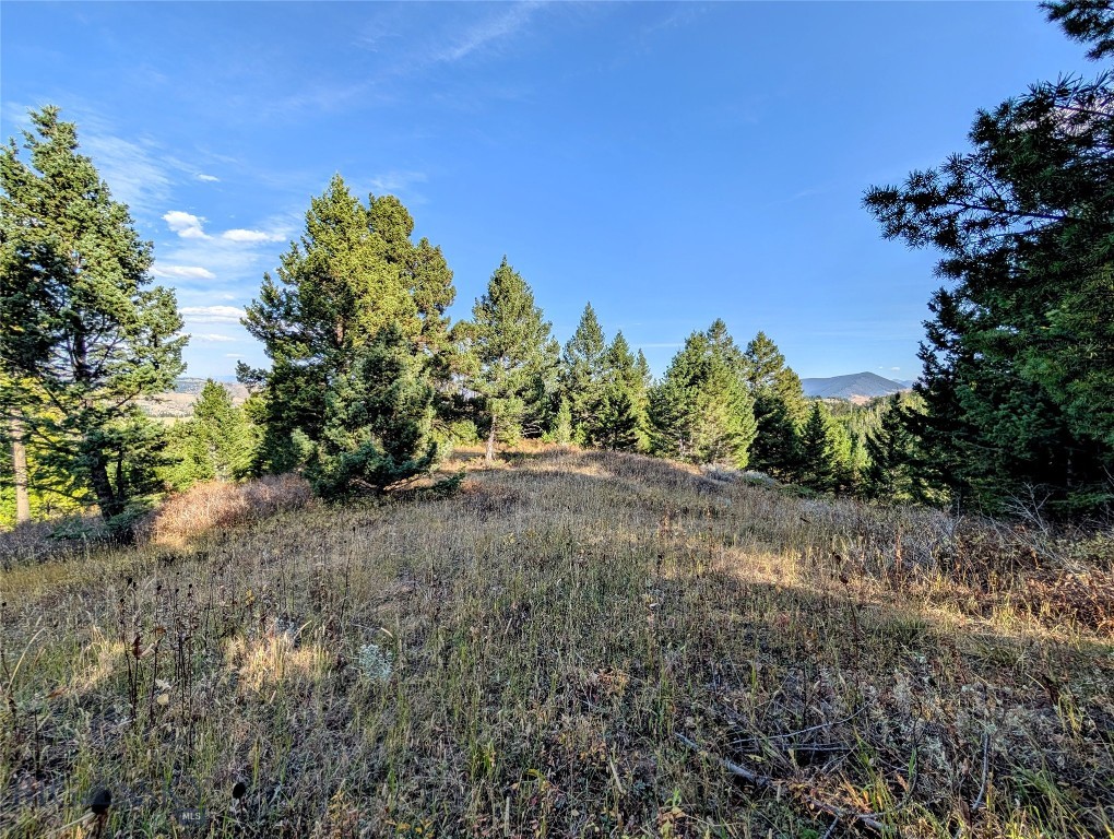 256 High Ridge, Bozeman MT 59715