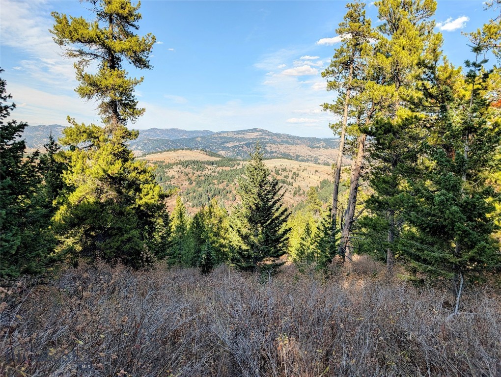 256 High Ridge, Bozeman MT 59715