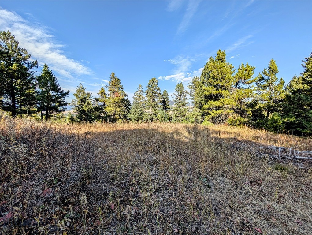 256 High Ridge, Bozeman MT 59715