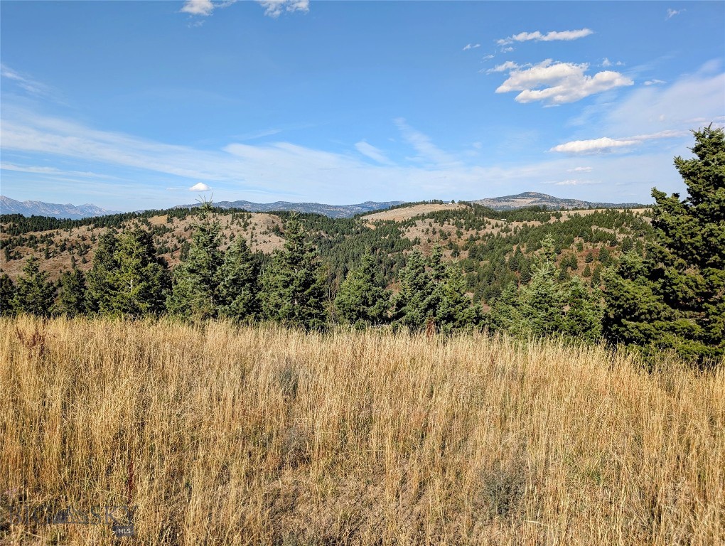 256 High Ridge, Bozeman MT 59715