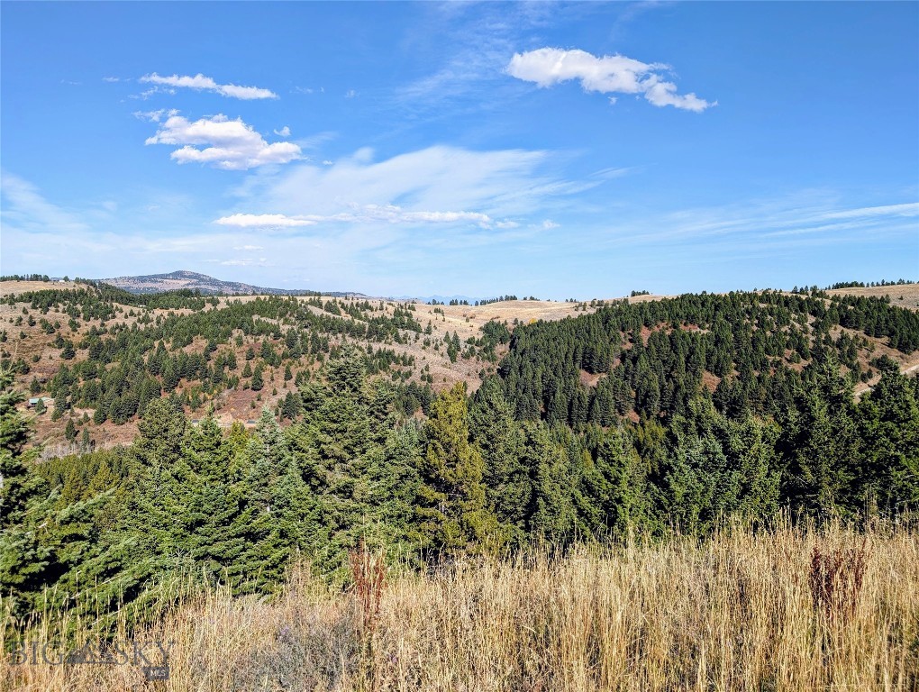 256 High Ridge, Bozeman MT 59715