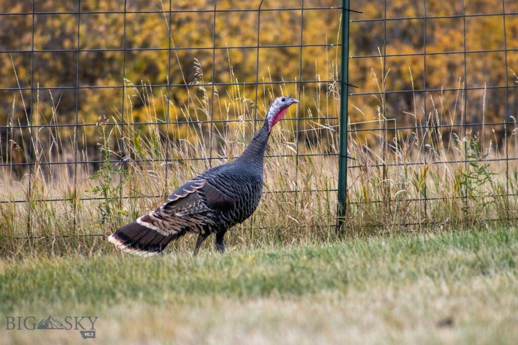 2723 Trail Creek Road, Bozeman MT 59715