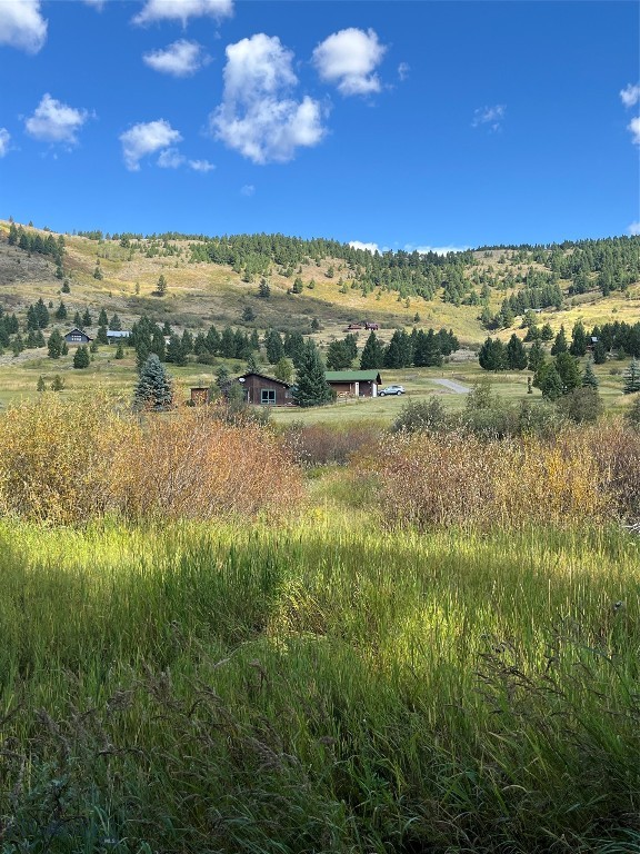 2723 Trail Creek Road, Bozeman MT 59715