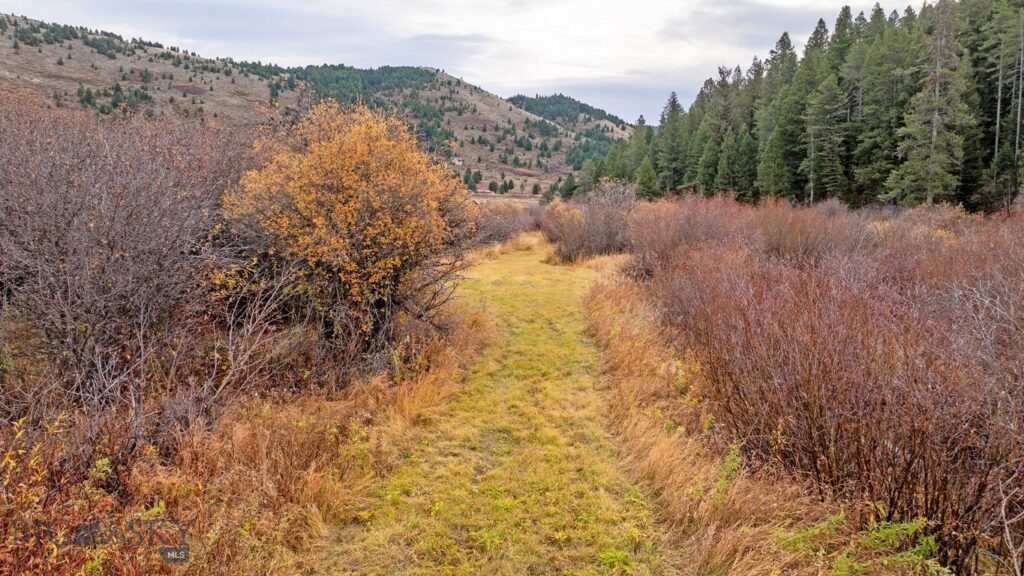 2723 Trail Creek Road, Bozeman MT 59715