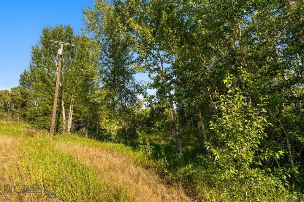27867 Norris Road, Bozeman MT 59718