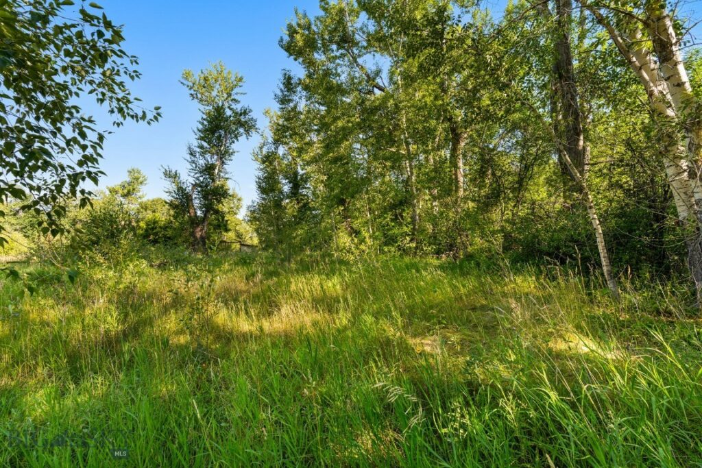 27867 Norris Road, Bozeman MT 59718