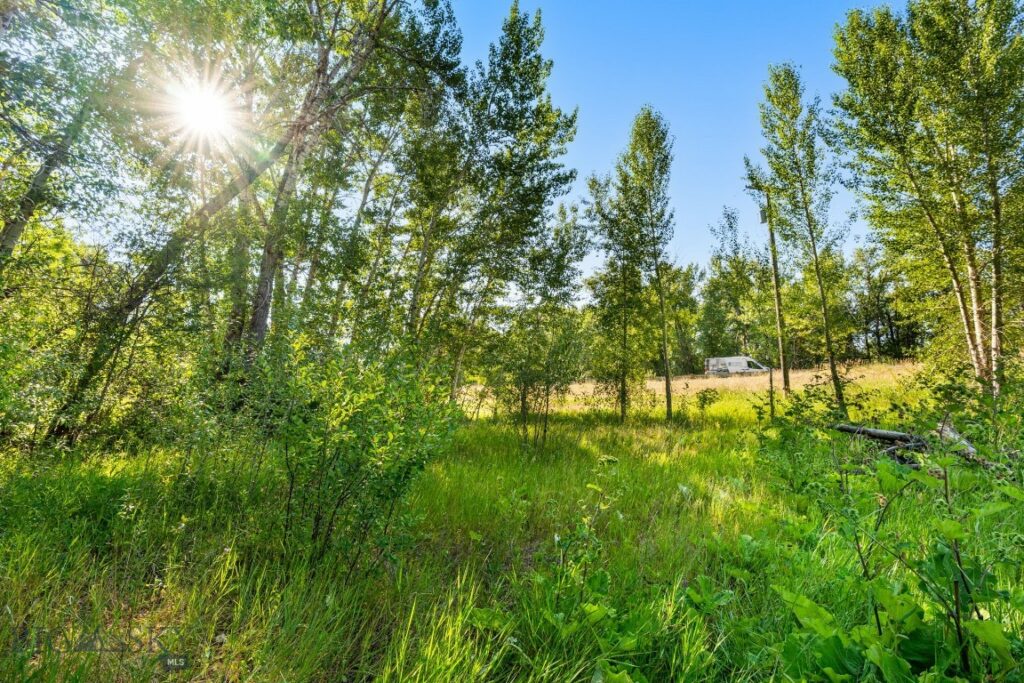 27867 Norris Road, Bozeman MT 59718