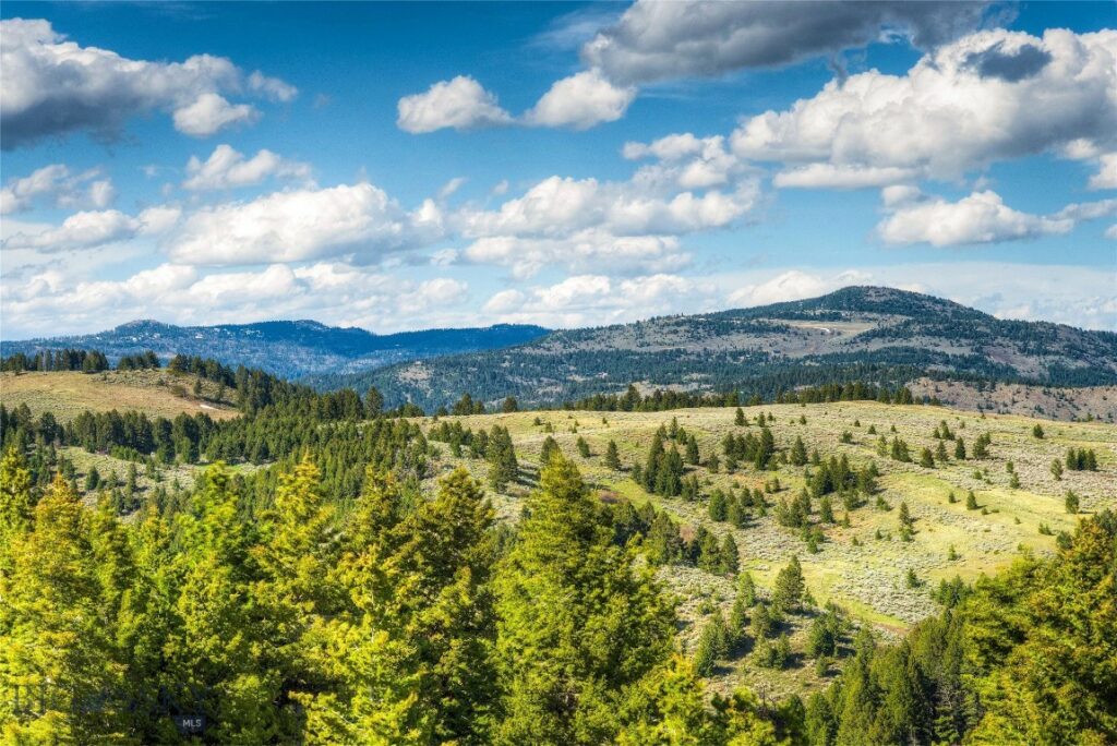 280 High Ridge Road, Bozeman MT 59715