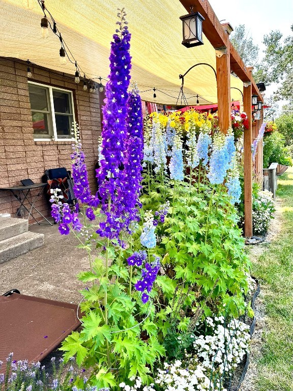 29 Border Lane, Bozeman MT 59718