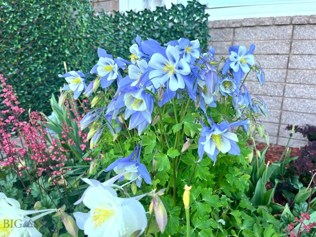 29 Border Lane, Bozeman MT 59718