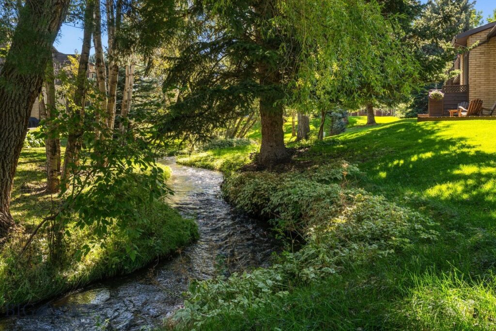 29 Hoffman Drive, Bozeman MT 59715