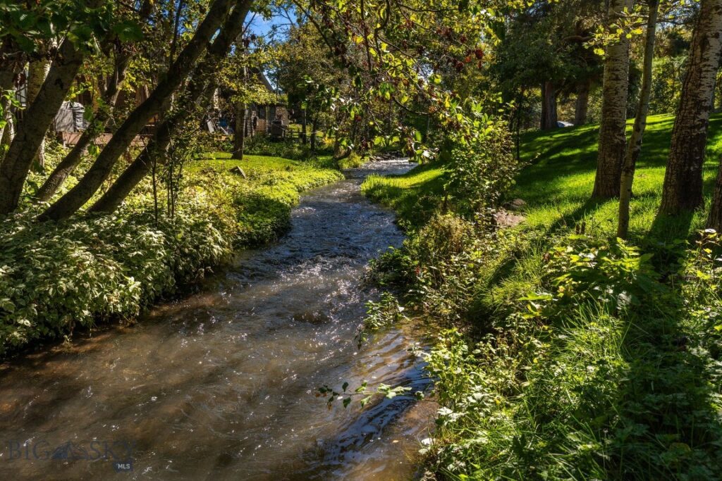 29 Hoffman Drive, Bozeman MT 59715