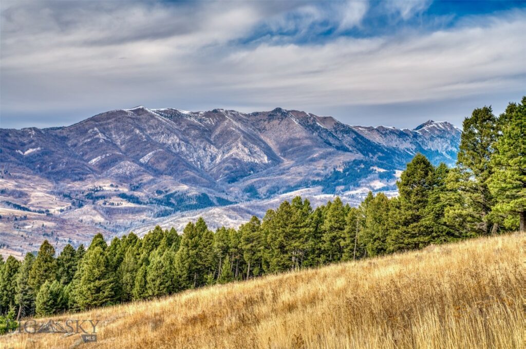 303 Sled Run Road, Bozeman MT 59715