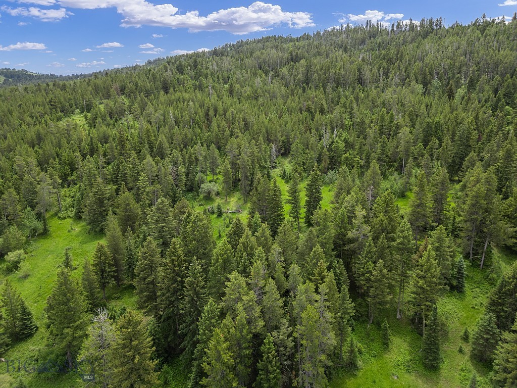 3030 Woodchuck Road, Bozeman MT 59715