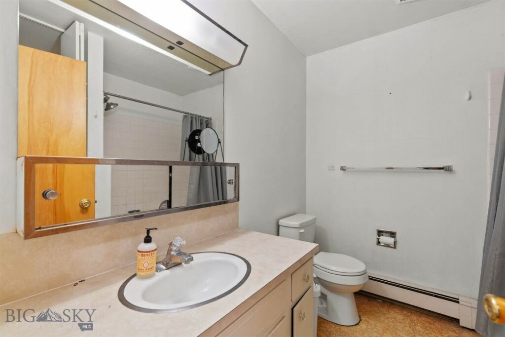 304 N 16th Avenue, Bozeman MT 59715