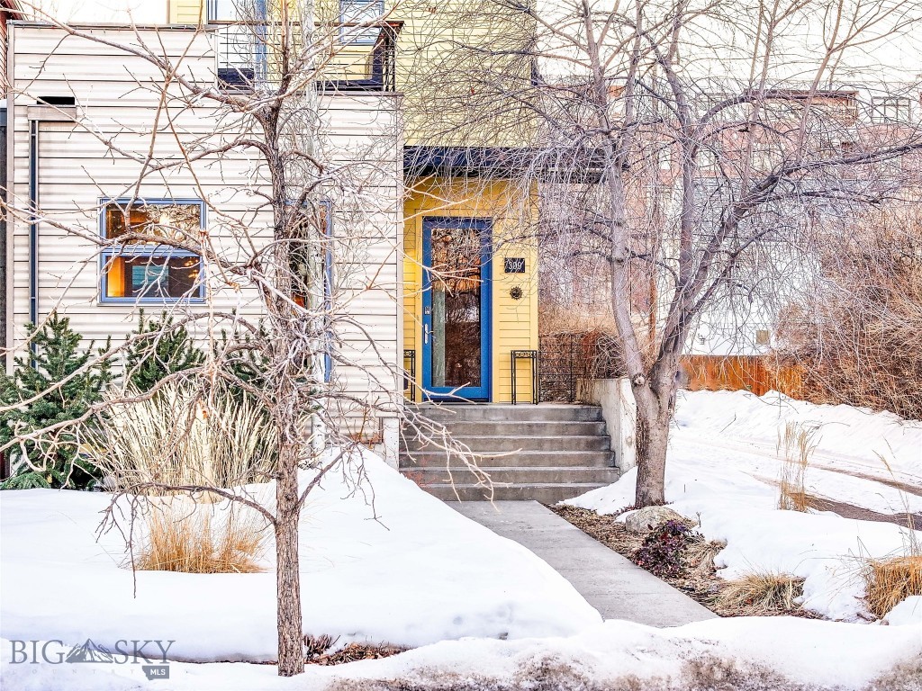 309 N Black Avenue, Bozeman MT 59715