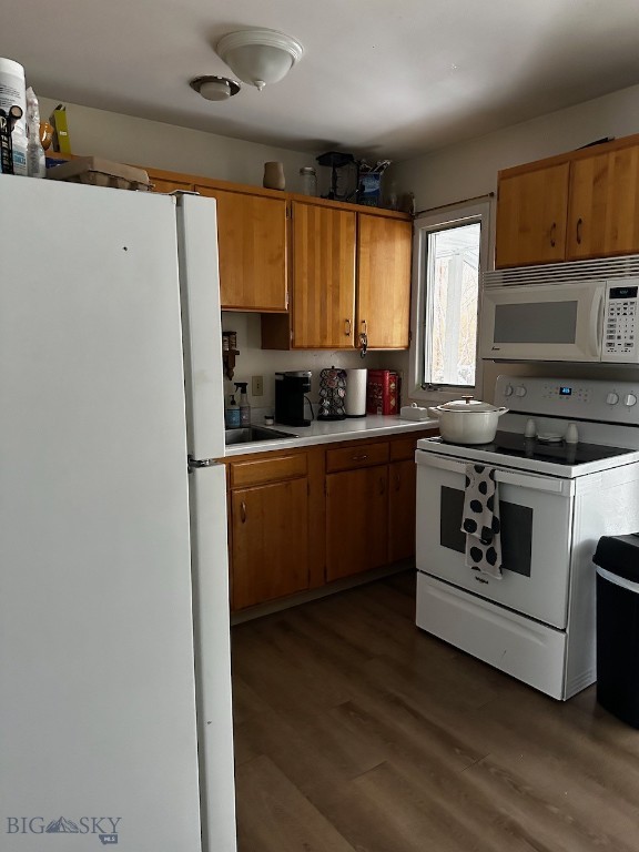 313 E Story, Bozeman MT 59715