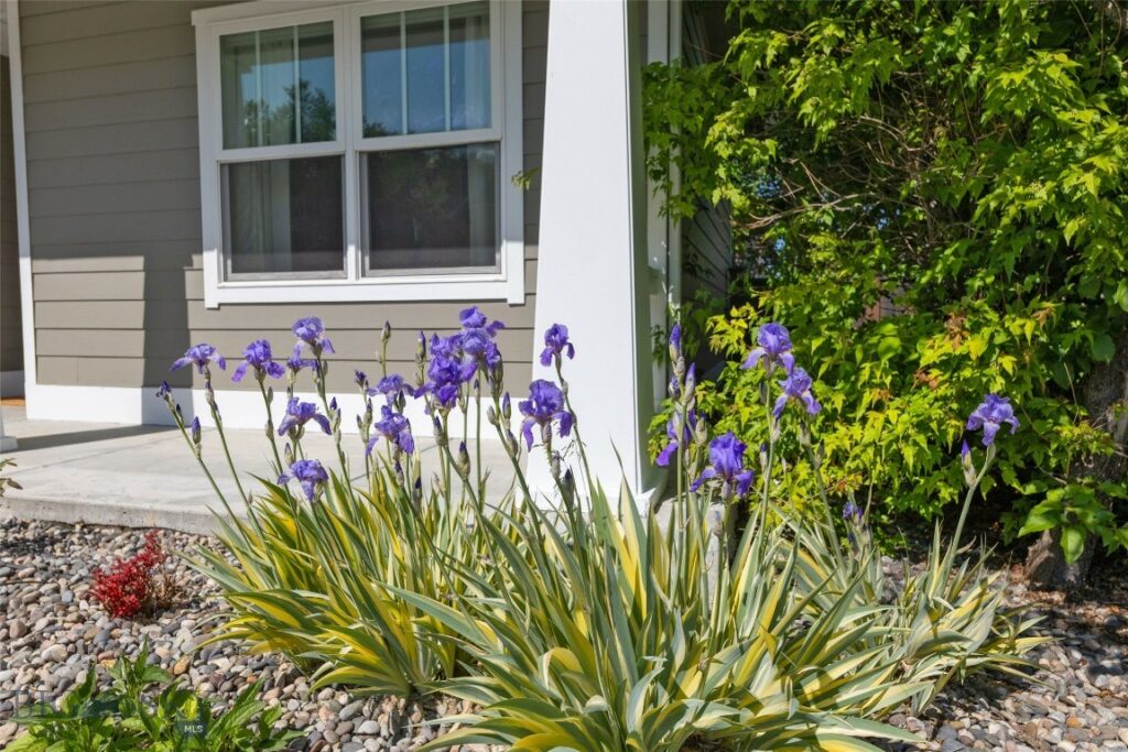 3171 Spring Ridge Drive, Bozeman MT 59715