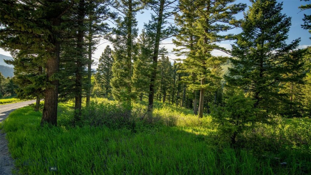3539 Claim Creek Road, Bozeman MT 59718