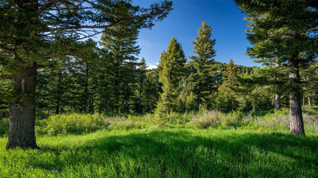 3539 Claim Creek Road, Bozeman MT 59718