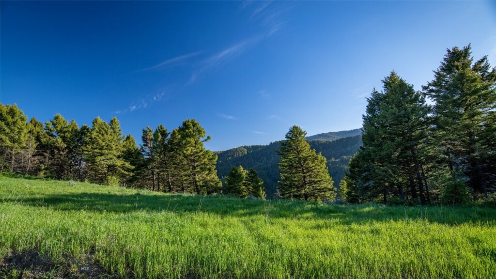 3539 Claim Creek Road, Bozeman MT 59718