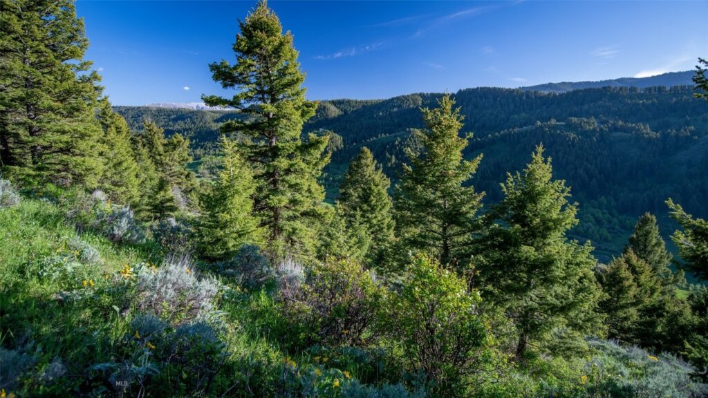 3539 Claim Creek Road, Bozeman MT 59718