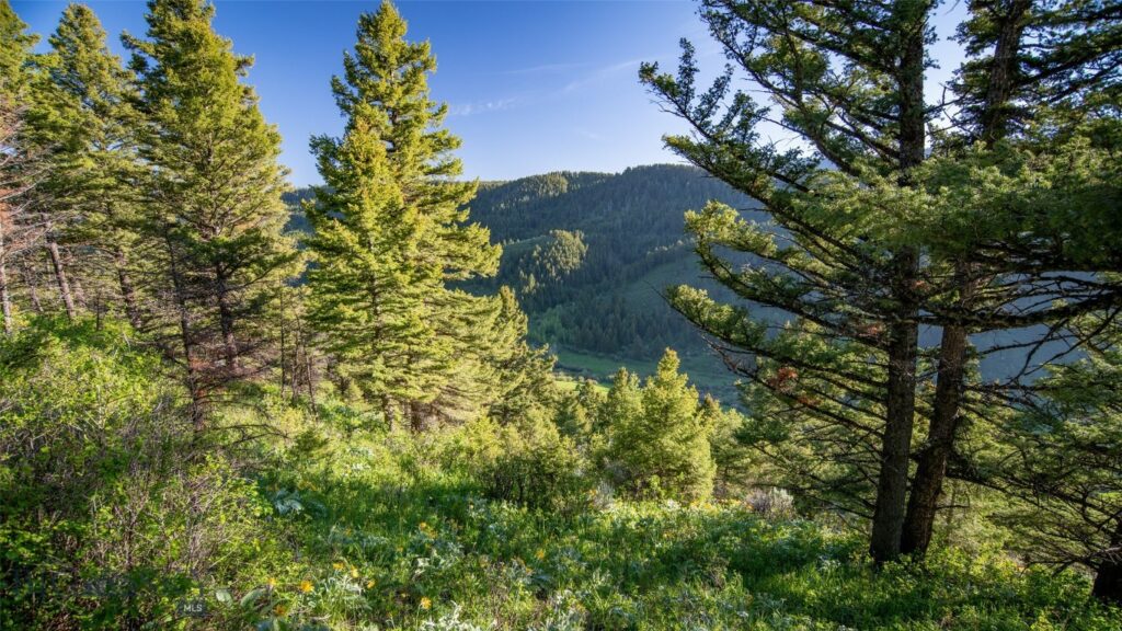 3539 Claim Creek Road, Bozeman MT 59718