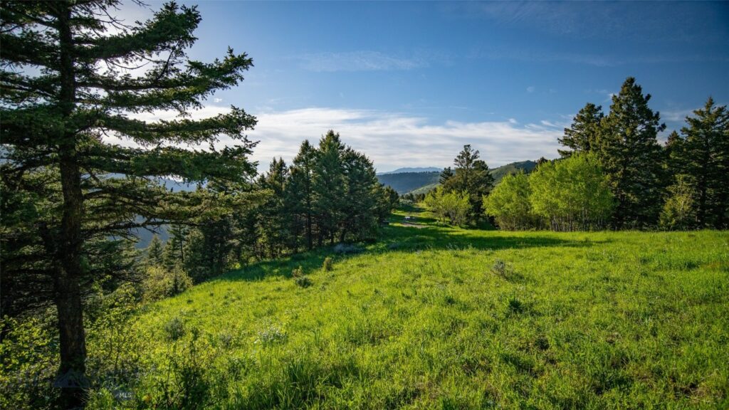 3539 Claim Creek Road, Bozeman MT 59718