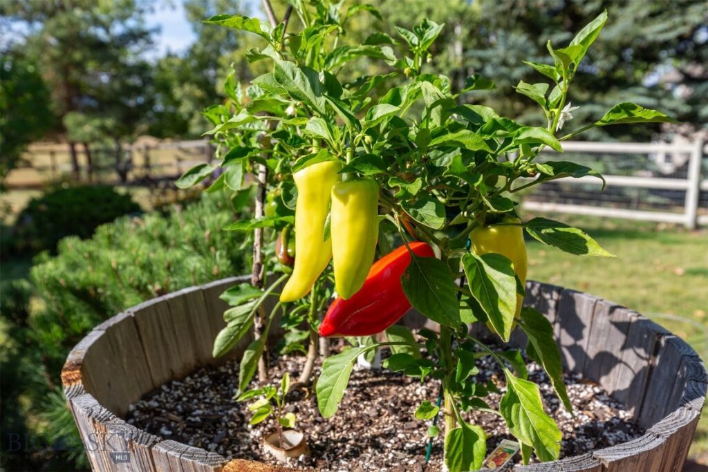 330 Evening Star Ln, Bozeman MT 59715