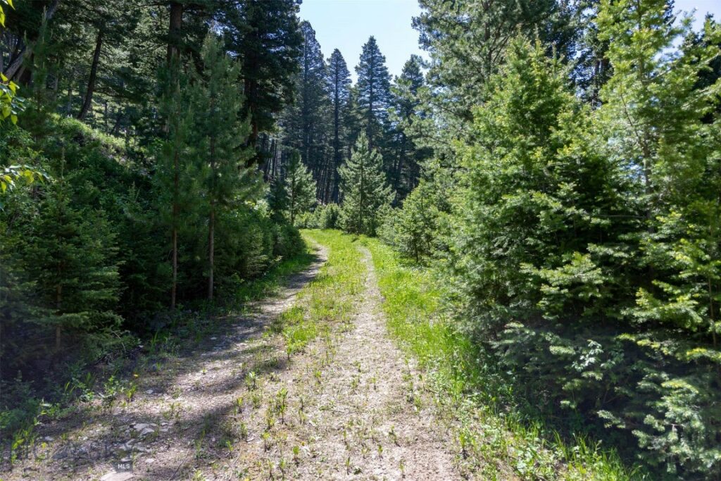 3600 Cottonwood Ranch Trail, Bozeman MT 59718