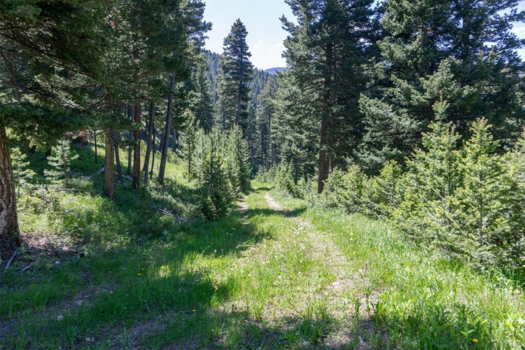 3600 Cottonwood Ranch Trail, Bozeman MT 59718
