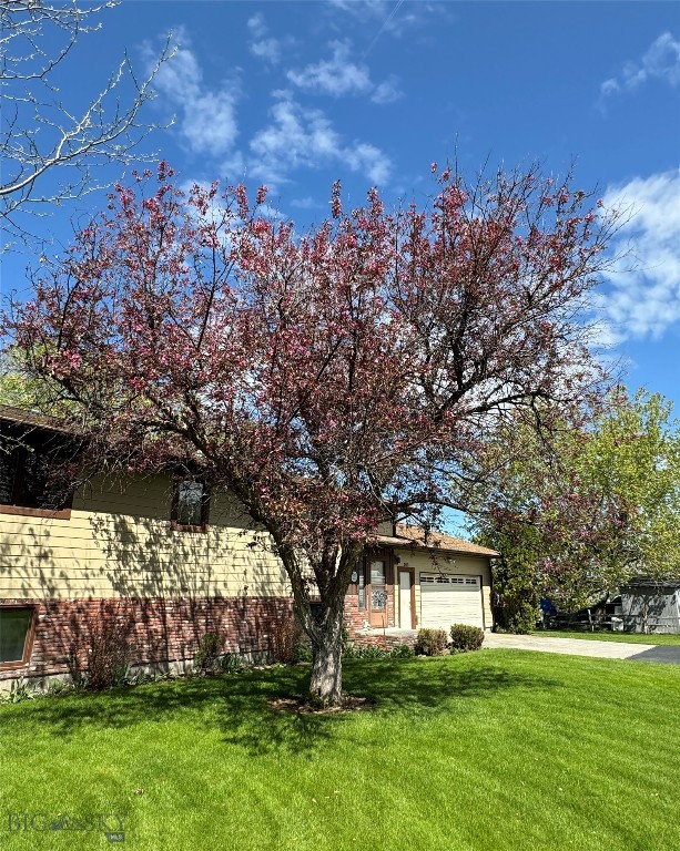 363 Coulee Drive, Bozeman MT 59718